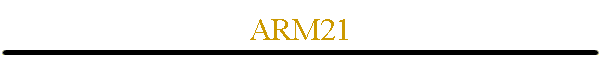 ARM21